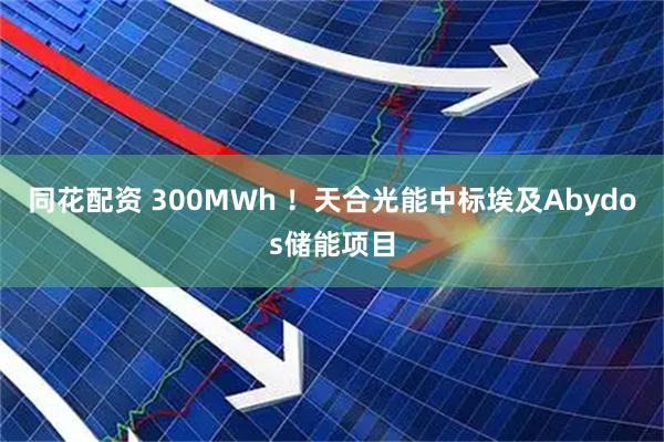 同花配资 300MWh ！天合光能中标埃及Abydos储能项目
