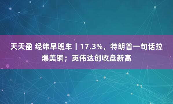 天天盈 经纬早班车｜17.3%，特朗普一句话拉爆美铜；英伟达创收盘新高