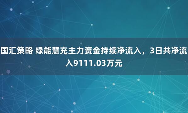 国汇策略 绿能慧充主力资金持续净流入，3日共净流入9111.03万元